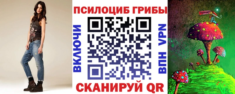 Галлюциногенные грибы мицелий darknet официальный сайт Кунгур